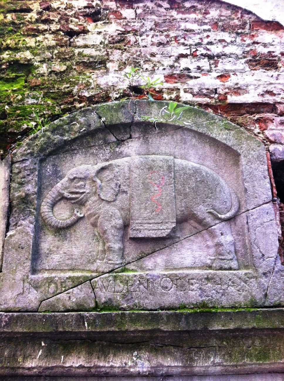 El elefante en piedra de la Rue de la Petite Violette